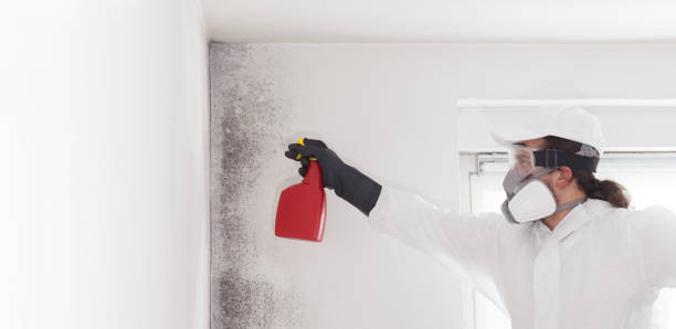 Water Damage Restoration in Somerset, NJ