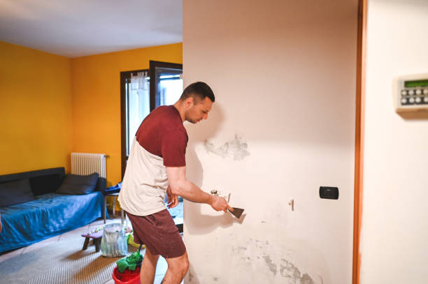 Best Emergency Mold Removal  in Somerset, NJ